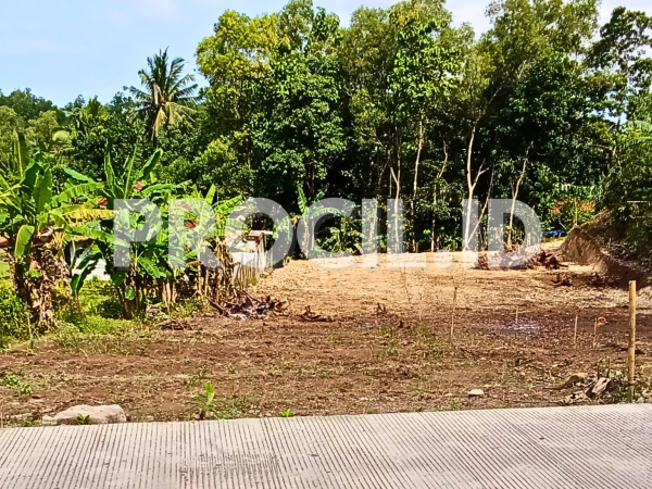 Tanah Pekarangan Luas Tritih Lor Jeruklegi